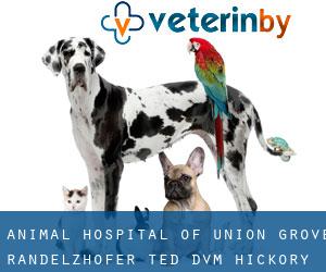 Animal Hospital of Union Grove: Randelzhofer Ted DVM (Hickory Haven)