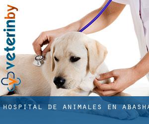 Hospital de animales en Abasha