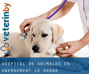 Hospital de animales en Abergement-le-Grand