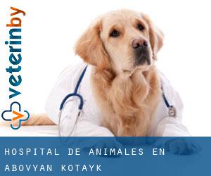 Hospital de animales en Abovyan (Kotaykʼ)