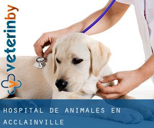Hospital de animales en Acclainville