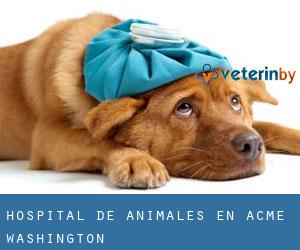 Hospital de animales en Acme (Washington)