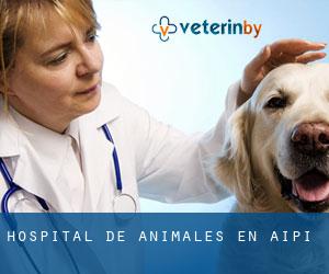 Hospital de animales en Aipi
