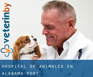 Hospital de animales en Alabama Port
