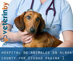 Hospital de animales en Albany County por ciudad - página 1