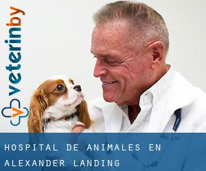 Hospital de animales en Alexander Landing