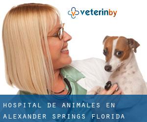 Hospital de animales en Alexander Springs (Florida)