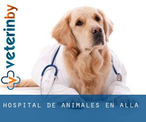 Hospital de animales en Alla