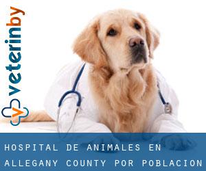 Hospital de animales en Allegany County por población - página 3