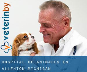Hospital de animales en Allenton (Michigan)