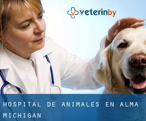 Hospital de animales en Alma (Michigan)