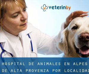 Hospital de animales en Alpes de Alta Provenza por localidad - página 1