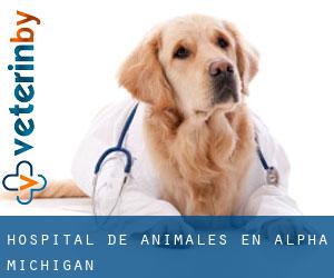 Hospital de animales en Alpha (Michigan)