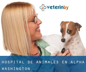 Hospital de animales en Alpha (Washington)