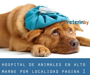 Hospital de animales en Alto Marne por localidad - página 1