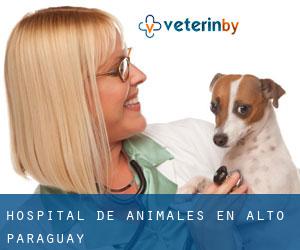 Hospital de animales en Alto Paraguay