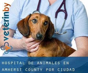 Hospital de animales en Amherst County por ciudad - página 1