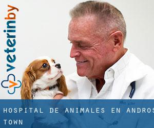 Hospital de animales en Andros Town