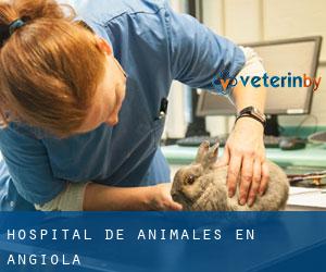 Hospital de animales en Angiola