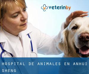 Hospital de animales en Anhui Sheng