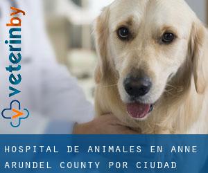 Hospital de animales en Anne Arundel County por ciudad - página 23