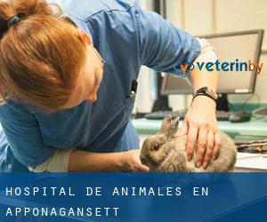 Hospital de animales en Apponagansett