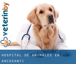 Hospital de animales en Arcosanti