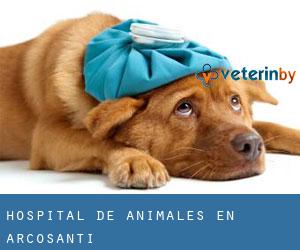 Hospital de animales en Arcosanti