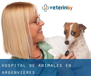 Hospital de animales en Argenvières