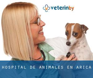 Hospital de animales en Arica