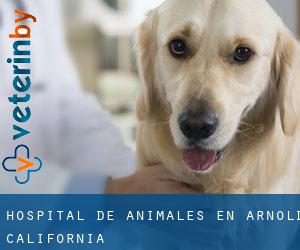 Hospital de animales en Arnold (California)