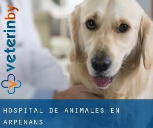 Hospital de animales en Arpenans