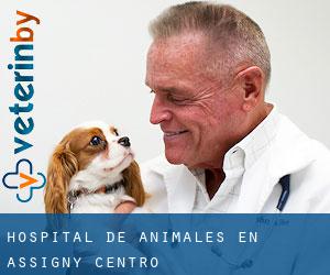 Hospital de animales en Assigny (Centro)