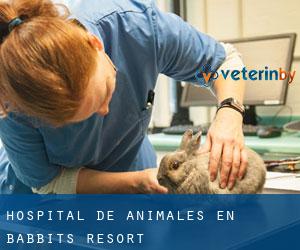 Hospital de animales en Babbits Resort
