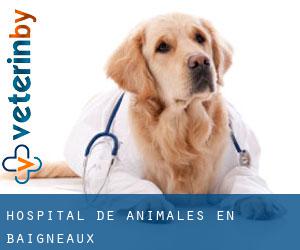 Hospital de animales en Baigneaux