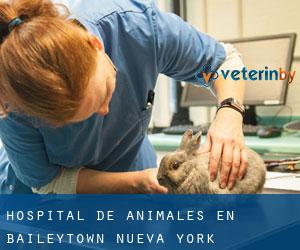 Hospital de animales en Baileytown (Nueva York)