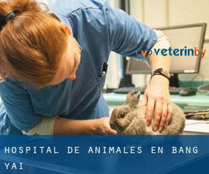 Hospital de animales en Bang Yai
