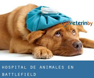 Hospital de animales en Battlefield