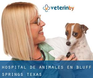 Hospital de animales en Bluff Springs (Texas)