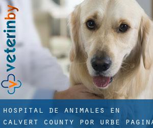 Hospital de animales en Calvert County por urbe - página 1