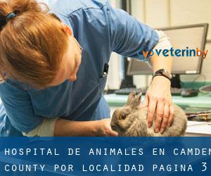 Hospital de animales en Camden County por localidad - página 3