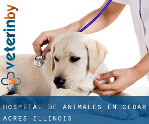 Hospital de animales en Cedar Acres (Illinois)