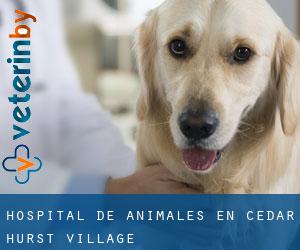Hospital de animales en Cedar Hurst Village