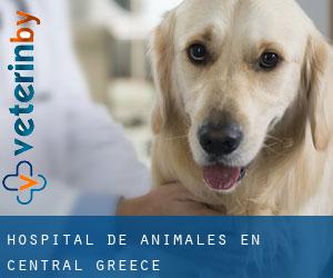 Hospital de animales en Central Greece