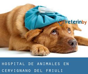 Hospital de animales en Cervignano del Friuli