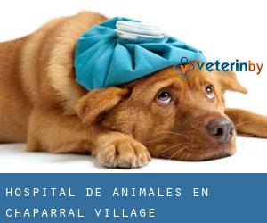 Hospital de animales en Chaparral Village