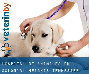 Hospital de animales en Colonial Heights (Tennessee)