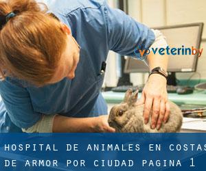 Hospital de animales en Costas de Armor por ciudad - página 1
