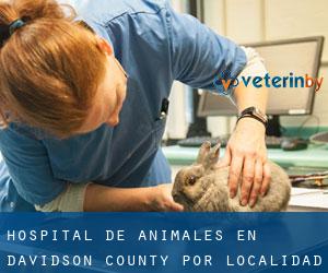 Hospital de animales en Davidson County por localidad - página 1