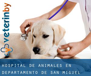Hospital de animales en Departamento de San Miguel